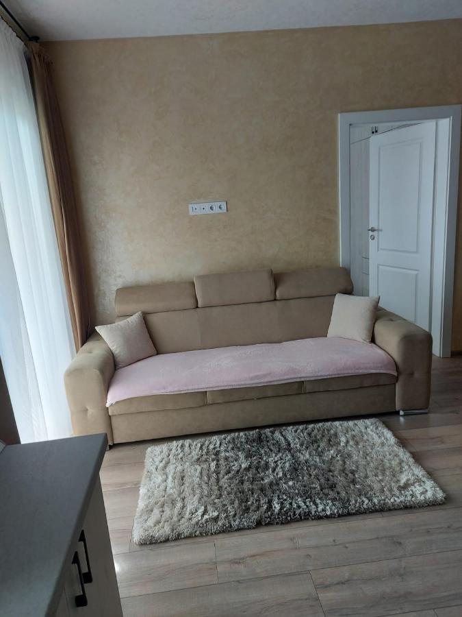 Timea'S House Apartman Bistriţa Kültér fotó